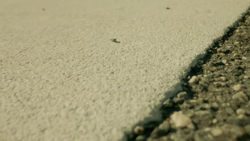 A rough path on the ground with a divider with some small rocks on the other side