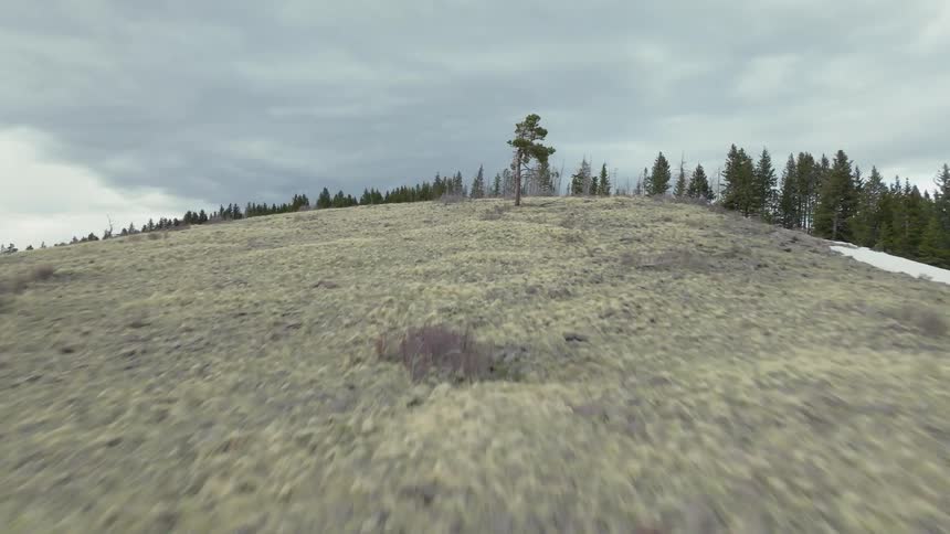Blue post and furniture are scattered near top of mountain among conifer forest