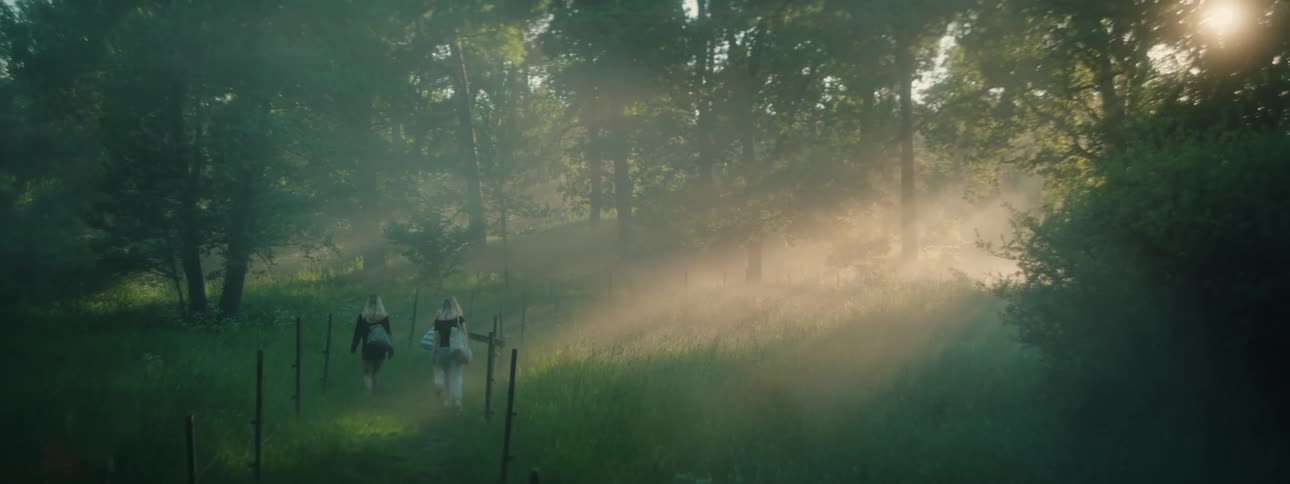 Friends walking in a field in the forest during the day