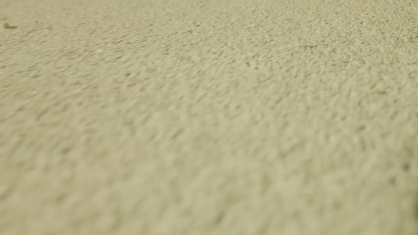 There is a crack in the concrete