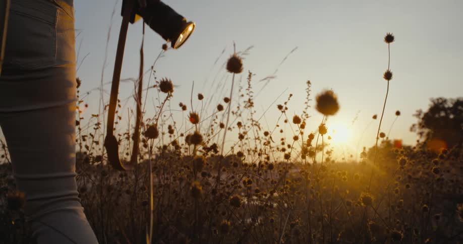Female photographer standing among wildflowers raises her camera to take a picture while the sun sits on the horizon