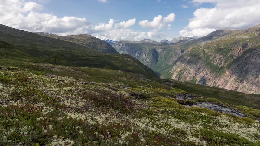 A lush green landscape with white flowers and mountains under a cloudy sky