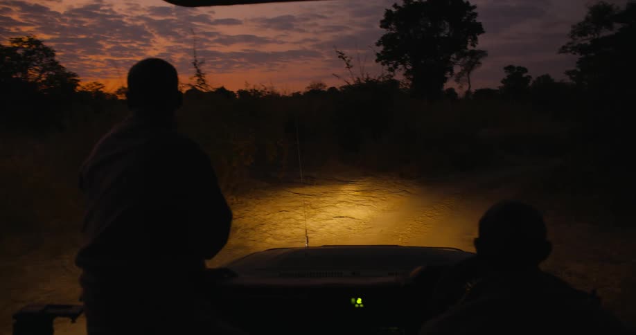 People driving a car on a dirt road in the savanna at night