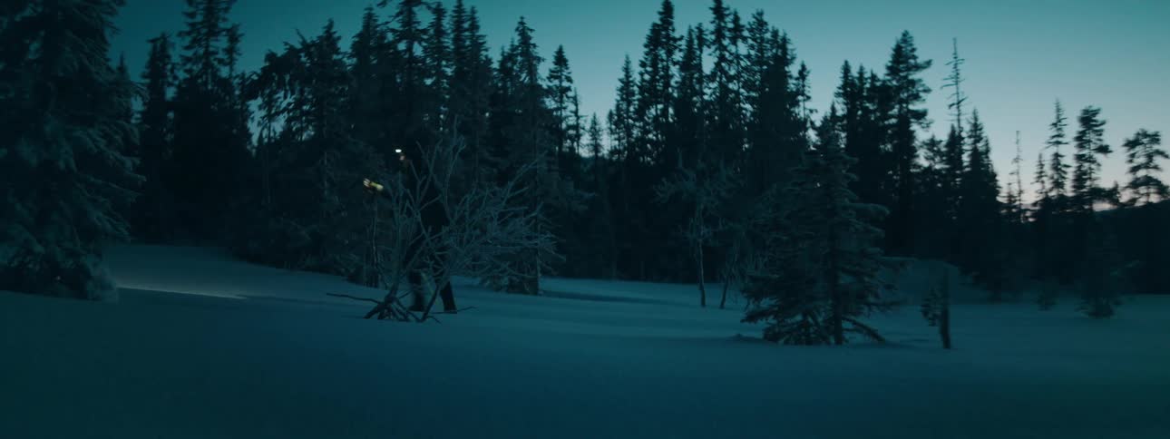 A person with a lantern on their head uses skis to cross the woods in the snow at night
