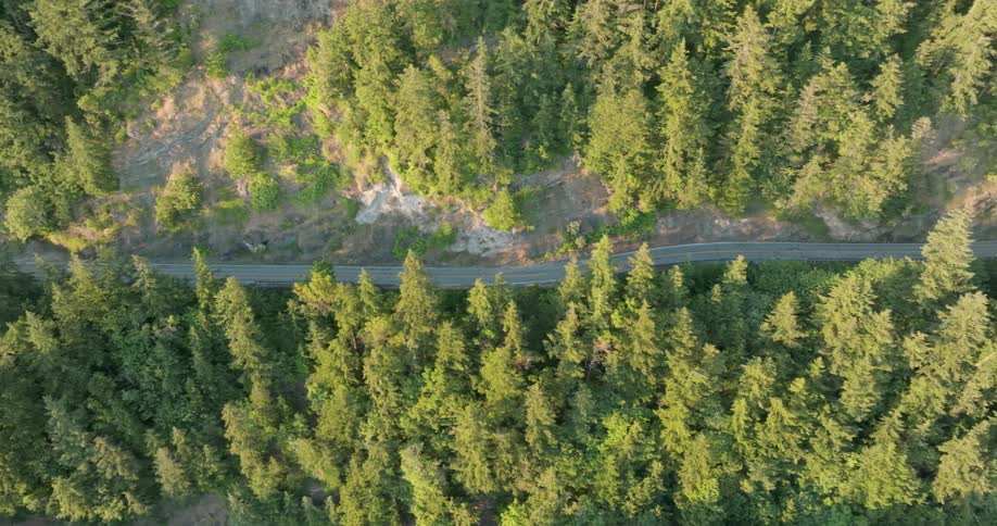 A black SUV drives along a two lane mountain road with trees on both sides