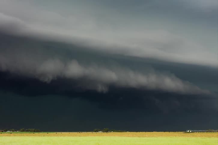 Dark storm clouds move over farmland pouring down rain as cattle graze in the field