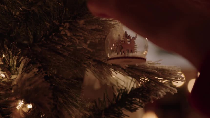 A persons hand placing an ornament on a christmas tree