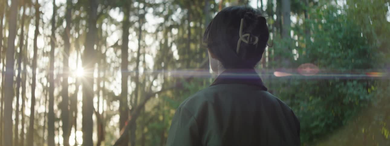 A woman in a forest at dawn admiring nature