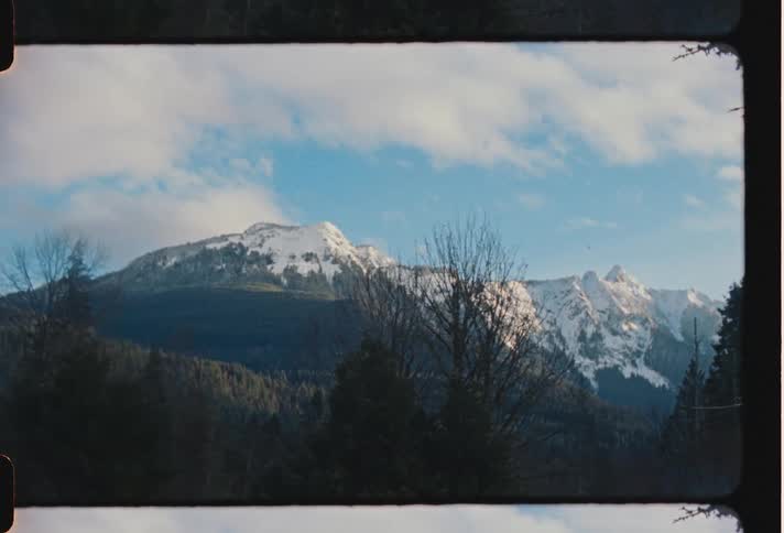 A snowy mountain peak is located in the distance behind a dense green forest