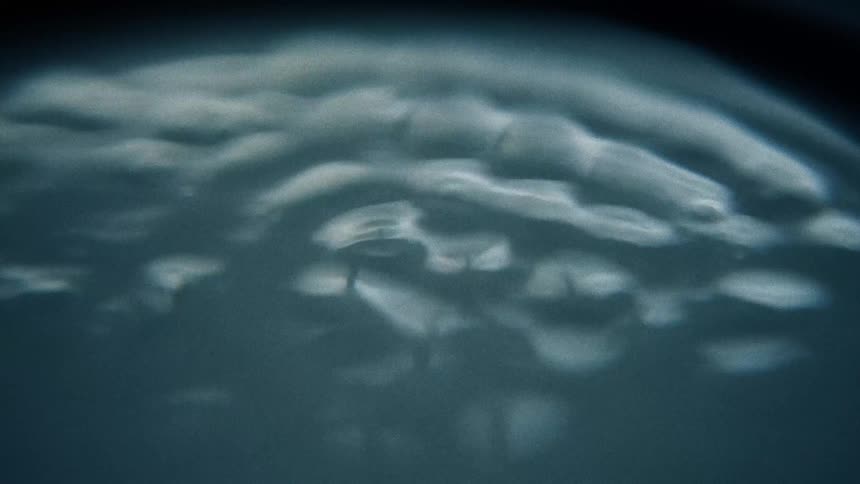 A clip of a vibrating liquid content