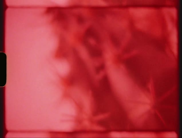 Close up of a cactus under red lights caught on vintage film