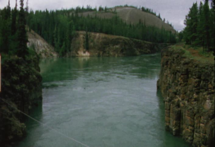 Water flows down a deep river between trees