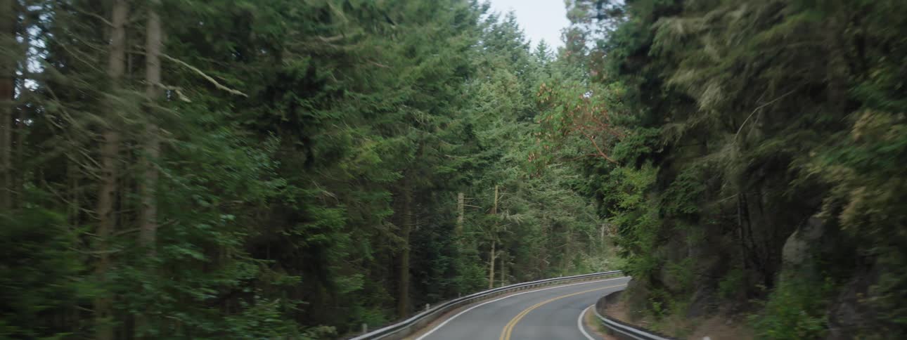 Traveling on a curved road around a forested mountain