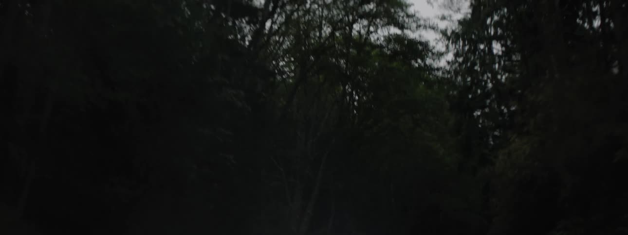 Sleek sedan with bright white headlights driving on a curved highway through the woods at dusk
