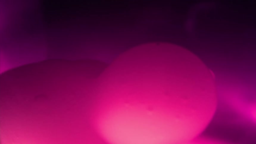 Glowing purple orbs fall