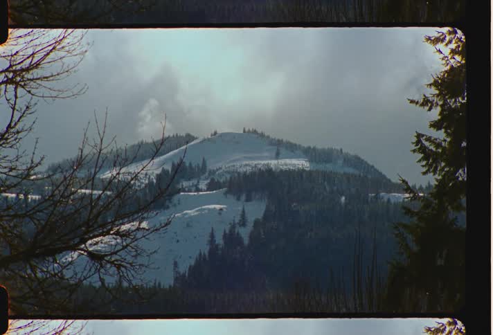 Landscape of snowy mountain and a forest