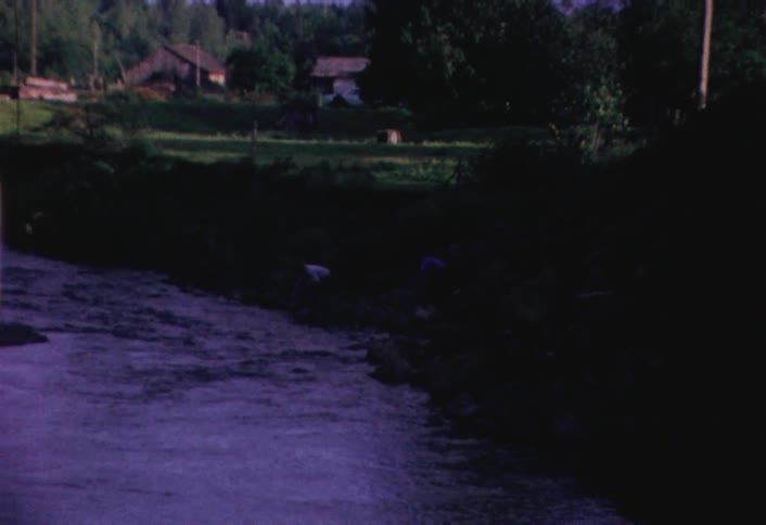Children play along the shoreline of a stream