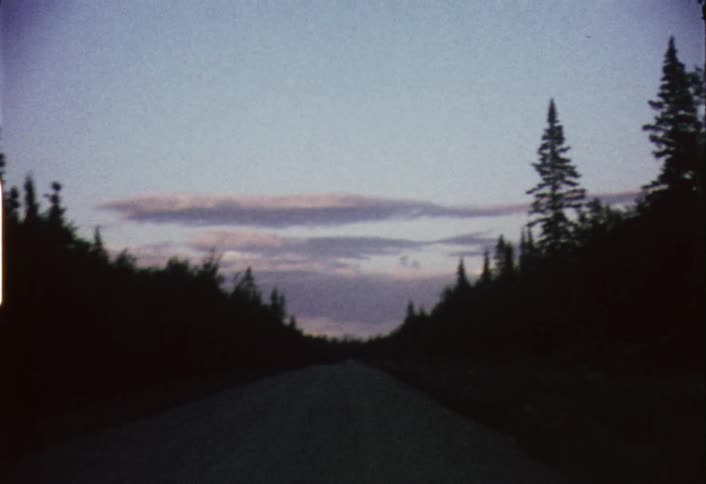 Moving view of a country road lined with trees on a partly cloudy day