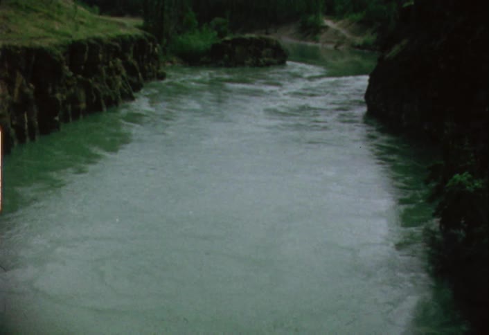 Water flows down a deep river between trees