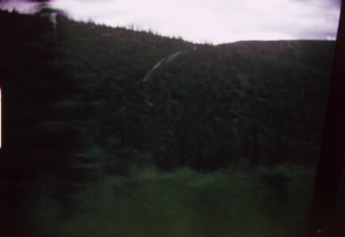 Scenery rolling past a car window