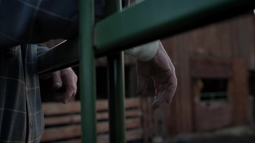 A persons hands resting on an iron fence on a farm