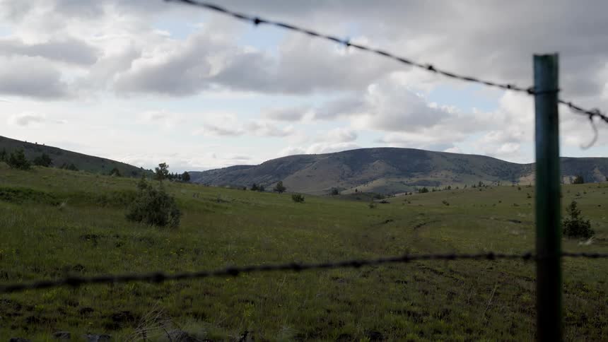 A fence with barbed wire and behind it is a huge grass pasture