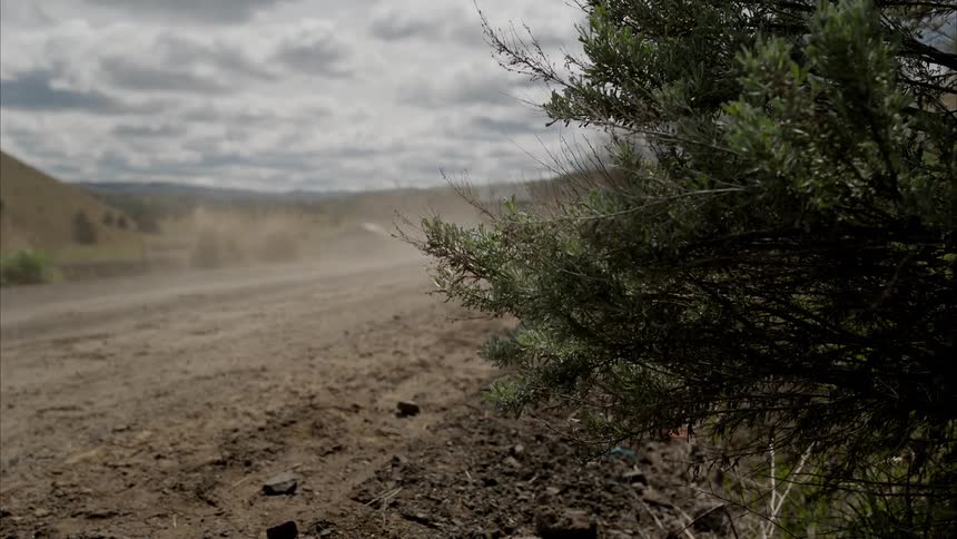 A truck drives on a dirt road next to a bush