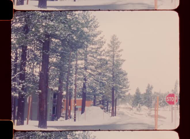 A car drives on a snowy street lined with tall pine trees
