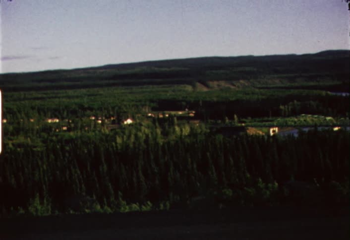 A line of buildings in a forest