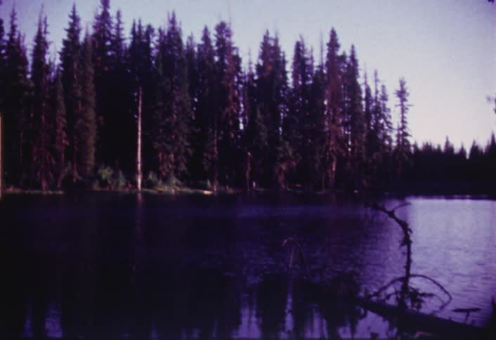 A forested lake