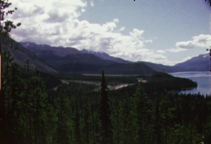 A forest area next to a lake