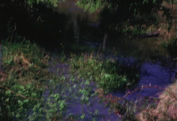 Young person sitting on the bank of a small stream