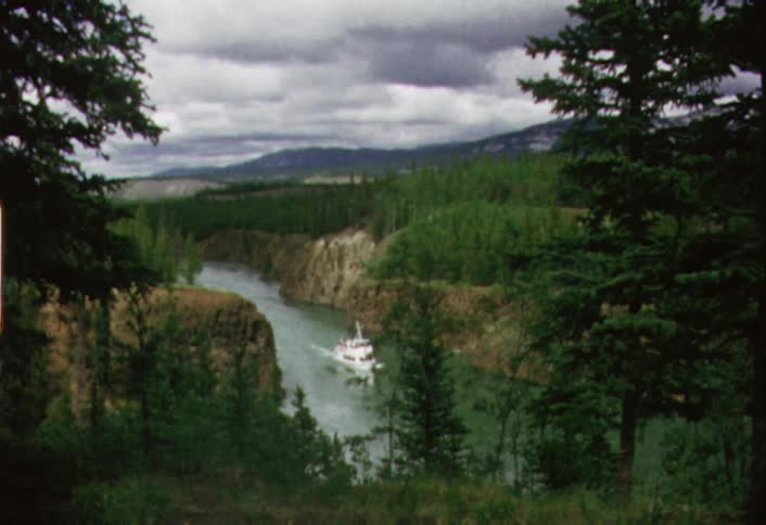 A boat is navigating down a river in a forest