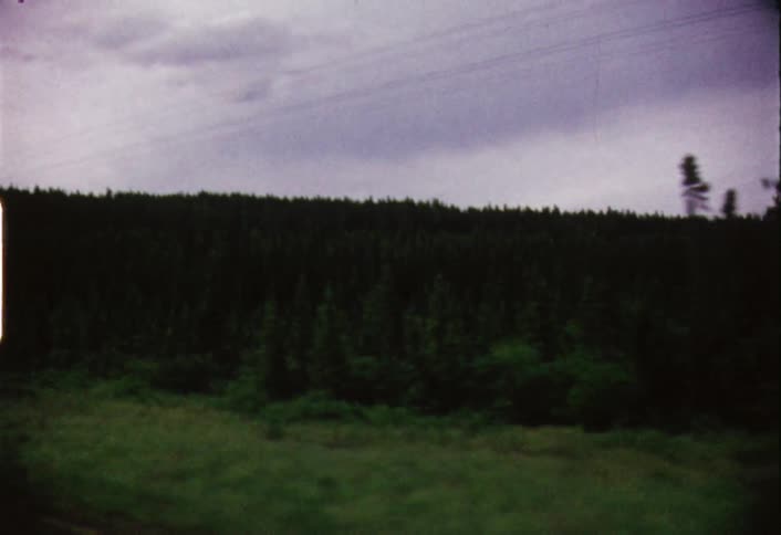 Shaky passing view of a tree covered hillside on a cloudy day