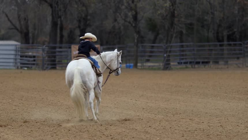 A person is riding a white horse in a circle