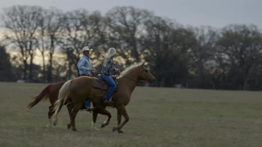 A man and woman ride horses in a field at sunset