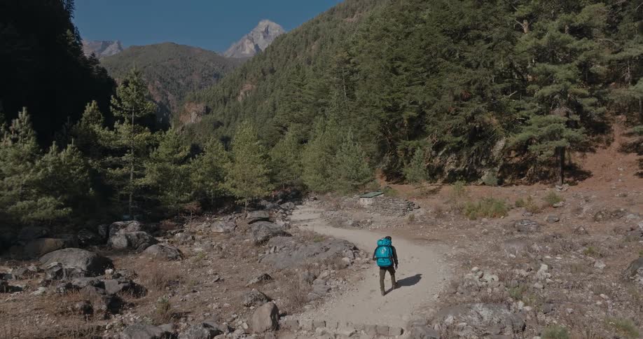 A hiker with a large backpack walking on a path towards a valley forest