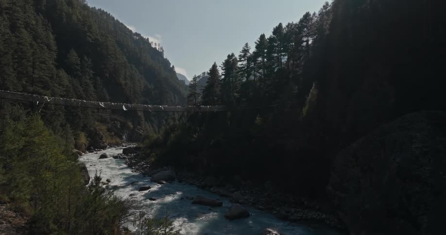 Aerial view of a forest with a river flowing in the middle and a rope bridge going across it