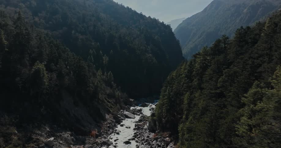 A forest valley with a river running through it