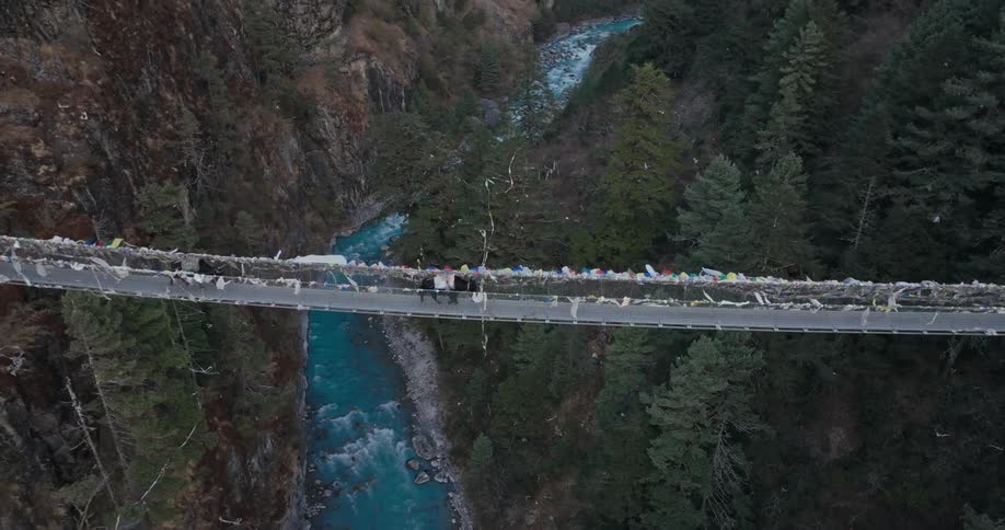 Animals cross a suspension bridge over a river