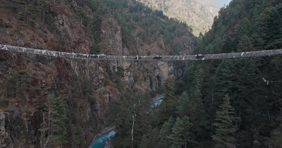 Wild animals crossing a huge bridge connecting mountains