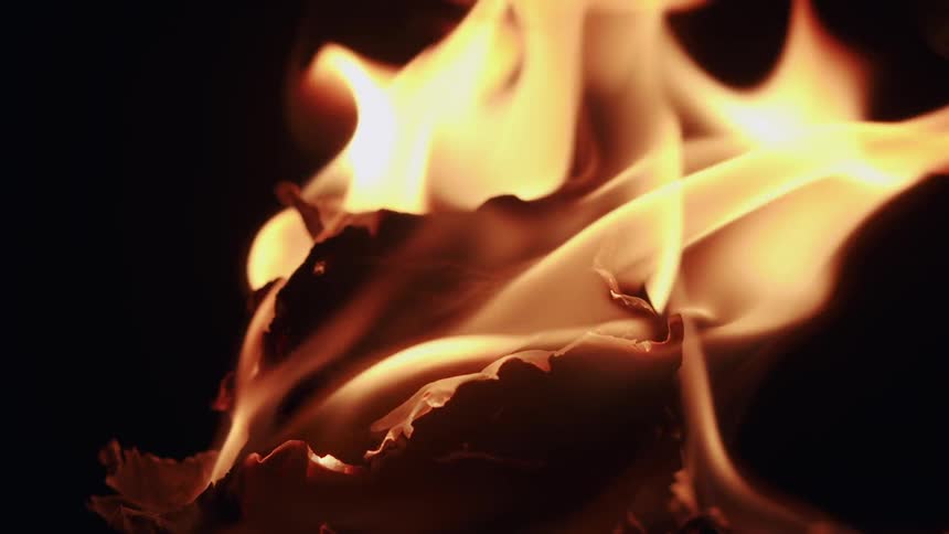 A piece of paper consumed by fire