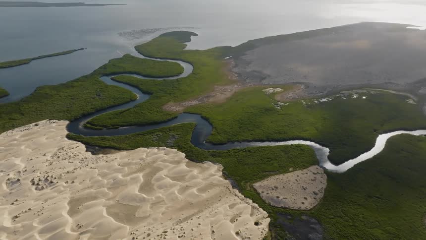 An ocean river and grasslands meet a desert