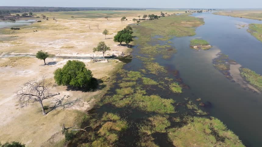 Aerial panorama of a forest with a river in the jungle