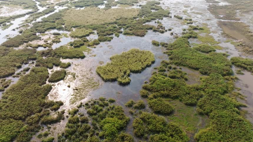 Aerial panorama of a lake with small islands of vegetation