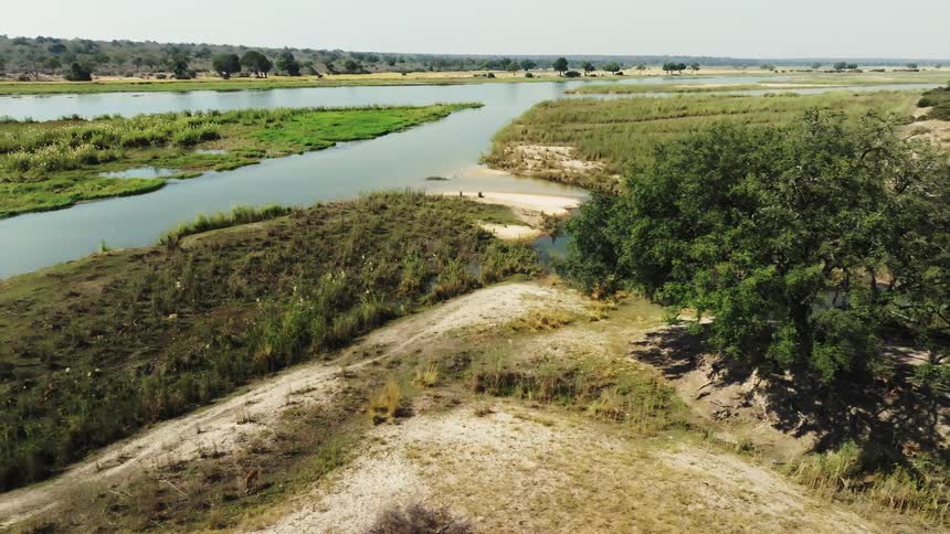 Aerial landscape of a jungle with river and vegetation