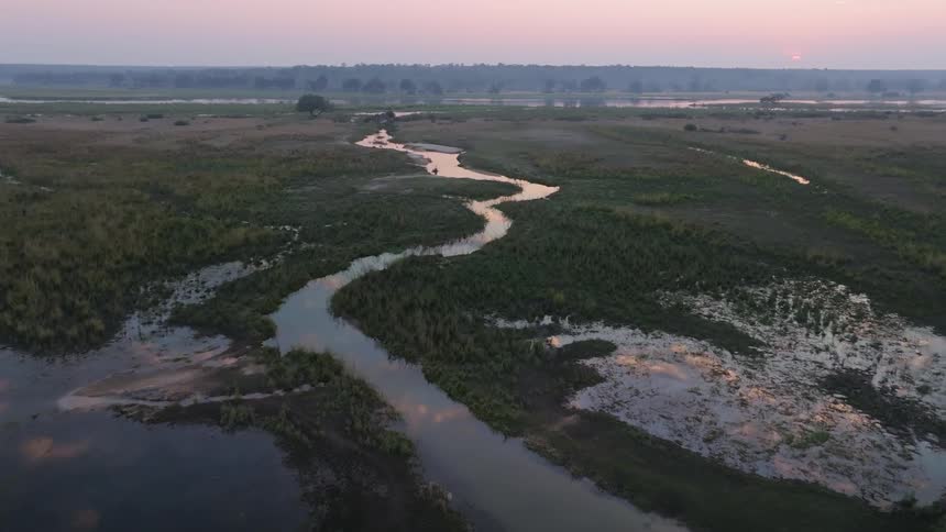 Aerial panorama of a river with algae in the jungle in a sunset sky