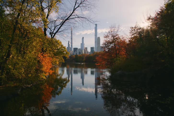 In central park new york city the still water reflects brown trees during autumn
