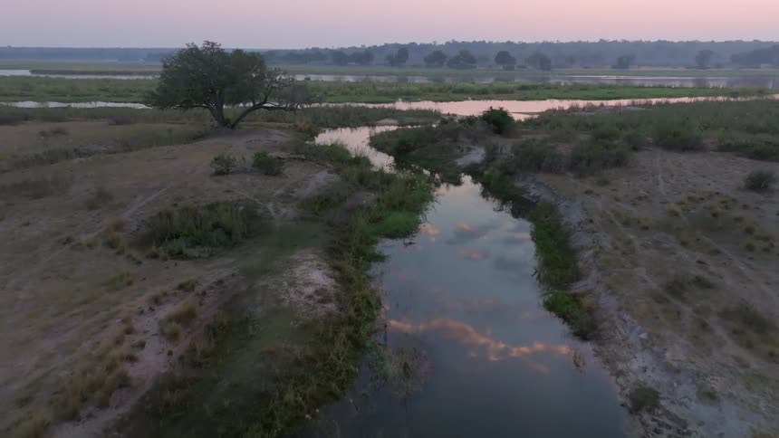 A river runs through flat terrain with bushes and trees
