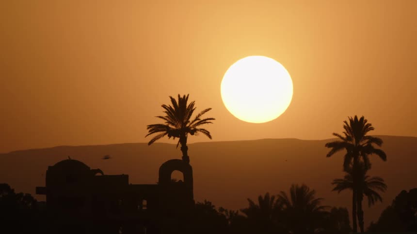 Birds fly across the sun